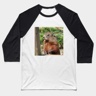 Woodchuck Checking out the Place Baseball T-Shirt